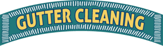 Gutter cleaning