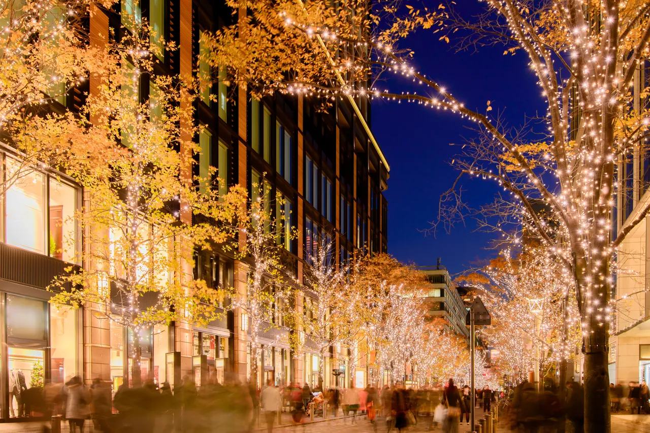 Commercial Holiday Lighting by Colonel Zips